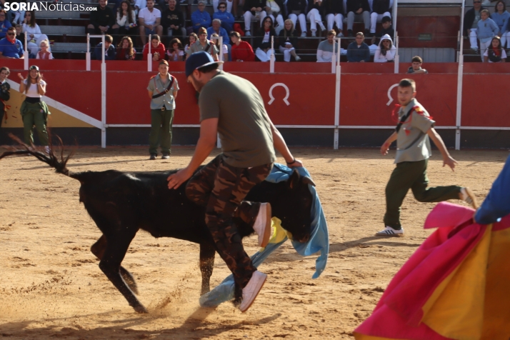 Una imagen de la tarde en la plaza de toros olvegueña. /Santos Gómez