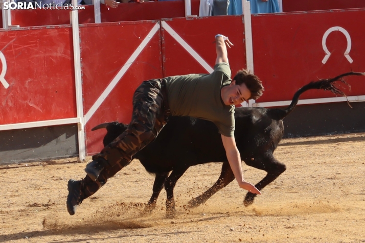 Una imagen de la tarde en la plaza de toros olvegueña. /Santos Gómez