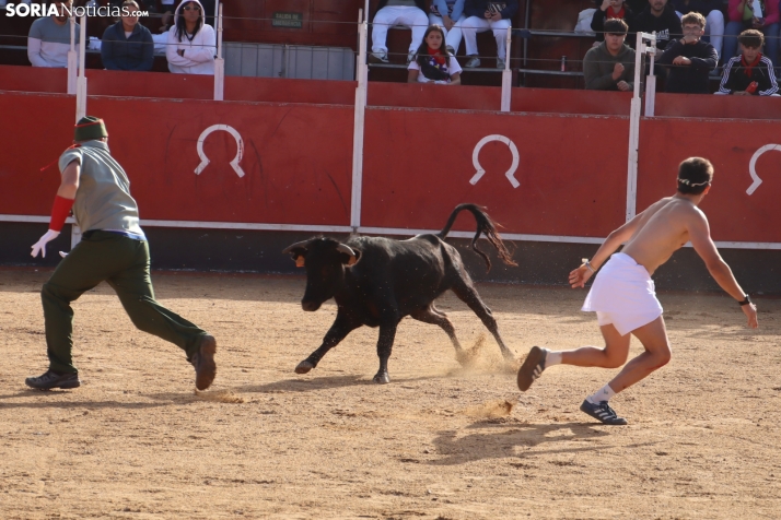 Una imagen de la tarde en la plaza de toros olvegueña. /Santos Gómez
