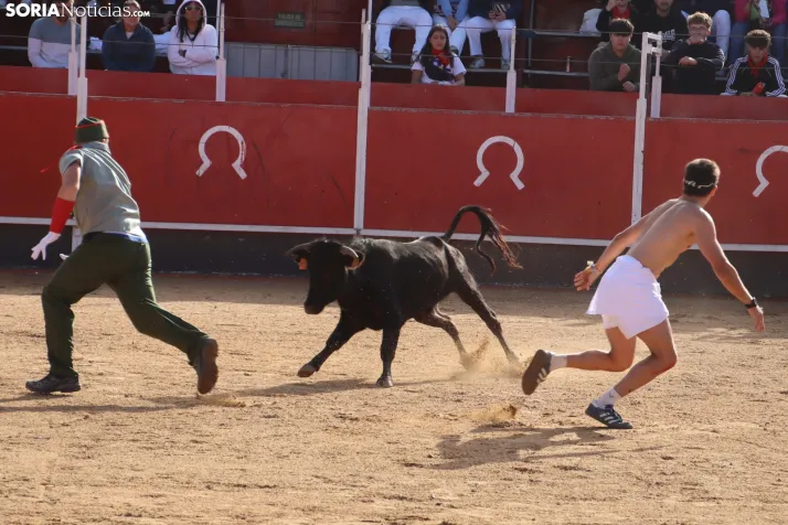 Una imagen de la tarde en la plaza de toros olvegueña. /Santos Gómez