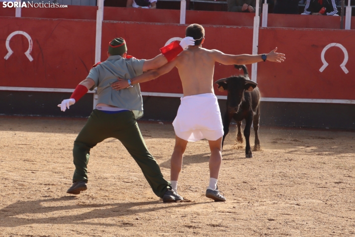 Una imagen de la tarde en la plaza de toros olvegueña. /Santos Gómez