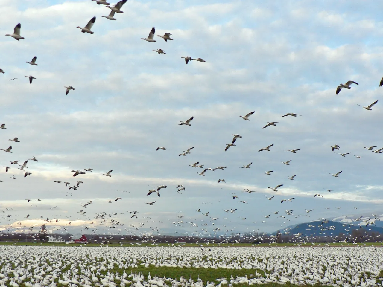El cielo soriano: la autopista más concurrida del otoño
