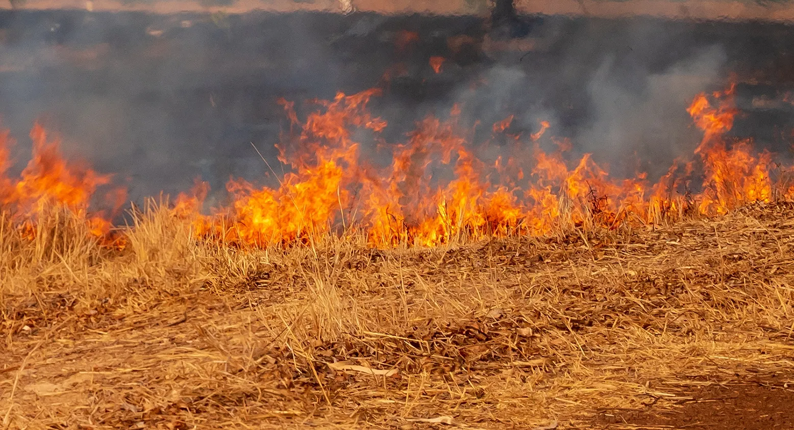 Incendio activo en Garray (Soria) este viernes 16 de octubre