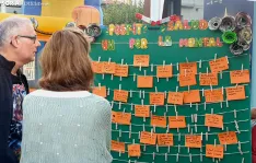 Foto 27 - ASOVICA: "Es m&aacute;s f&aacute;cil contar que has sufrido un infarto que un brote psic&oacute;tico"
