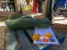 Una imagen del concurso sanestebeño. /PC
