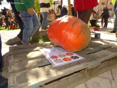 Una imagen del concurso sanestebeño. /PC