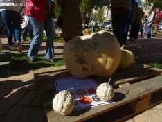 Una imagen del concurso sanestebeño. /PC
