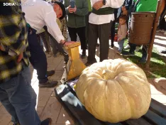 Una imagen del concurso sanestebeño. /PC