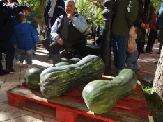 Una imagen del concurso sanestebeño. /PC