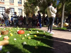 Una imagen del concurso sanestebeño. /PC