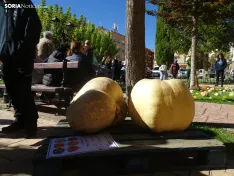 Una imagen del concurso sanestebeño. /PC