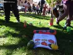 Una imagen del concurso sanestebeño. /PC