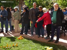 Una imagen del concurso sanestebeño. /PC