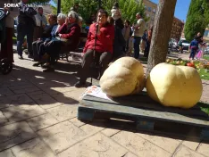 Una imagen del concurso sanestebeño. /PC