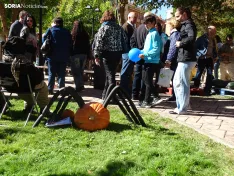 Una imagen del concurso sanestebeño. /PC