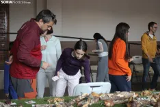 Foto 7 - Aprender micolog&iacute;a jugando en familia: la innovadora propuesta que acerca el mundo de los hongos 