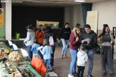Foto 8 - Aprender micolog&iacute;a jugando en familia: la innovadora propuesta que acerca el mundo de los hongos 