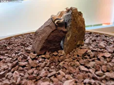 Maqueta del proyecto, realizada con piedras de oligisto |Maria Jesús Costa