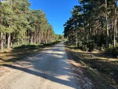 Foto 6 - Ruta: el mirador de Cabeza Alta y Duruelo