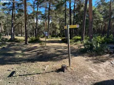 Foto 3 - Ruta: el mirador de Cabeza Alta y Duruelo