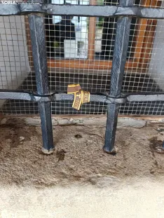 Imágenes de la etapa entre Benavente y Ponferrada