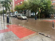 Foto 6 - Fotos: Tremenda riada en el centro de Soria