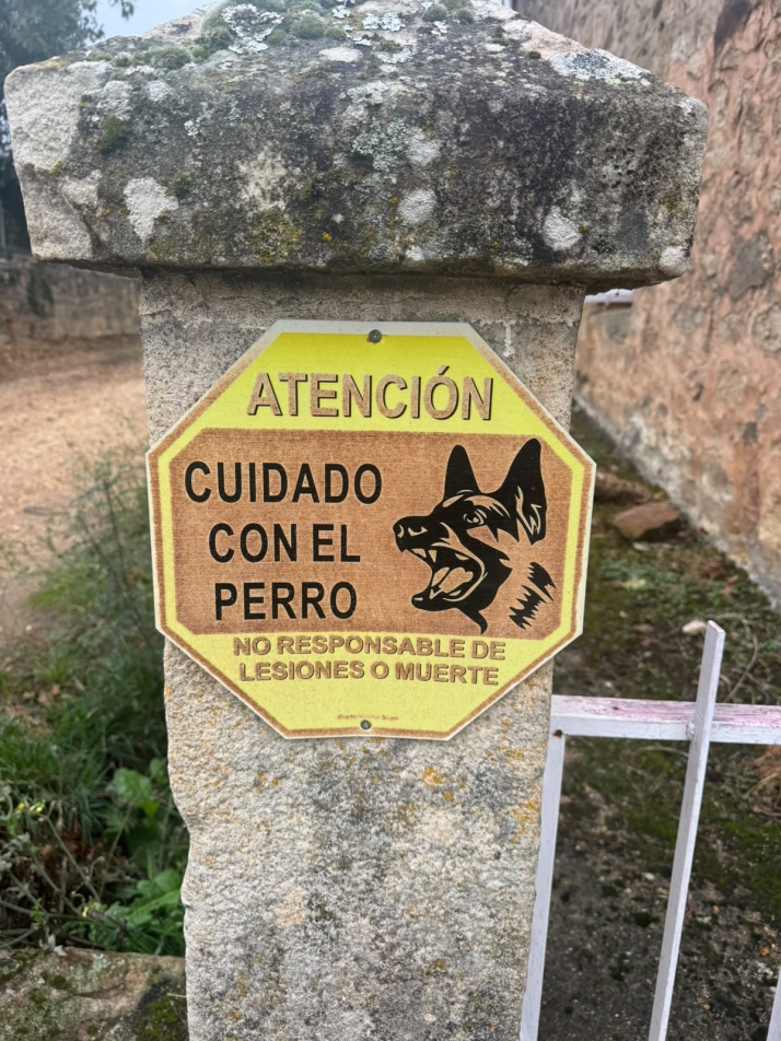Detenido tras el ataque mortal de sus dos American Bully en El Royo