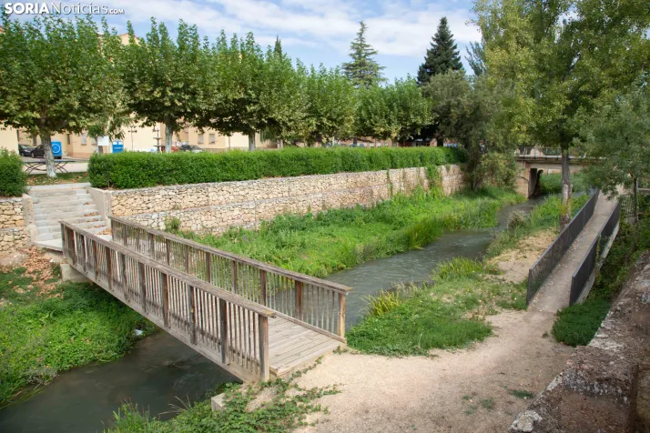 Arcos de Jalón 2026