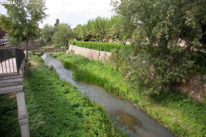 Arcos de Jalón 2026