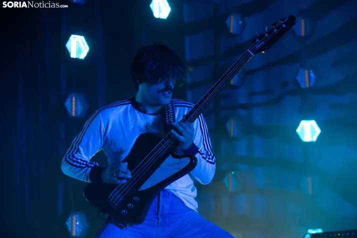 Concierto de Sexy Zebras
