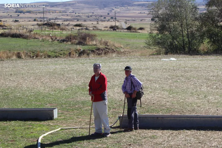 Fotos: Castilfr&iacute;o se despide de m&aacute;s de 50 a&ntilde;os de pastoreo trashumante con una jornada mu