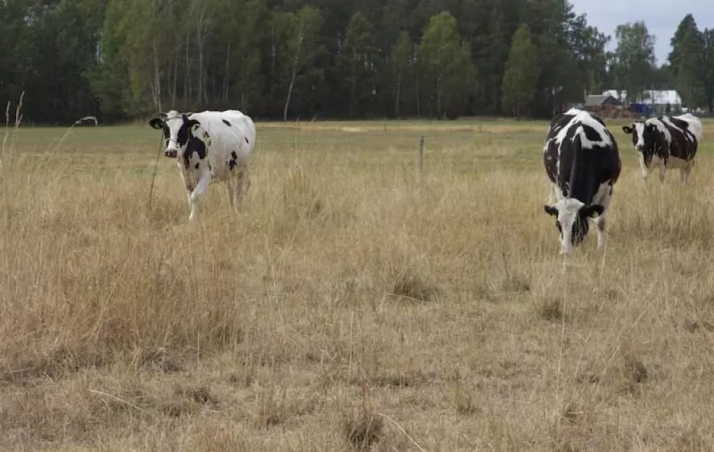 ASAJA reclama autorizar la quema de pastos en Castilla y León