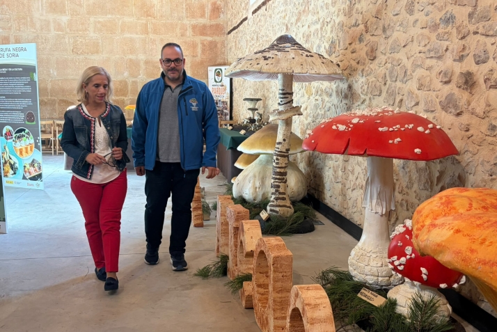 Setas en Soria: Realidad virtual y talleres en las jornadas micológicas de la capital