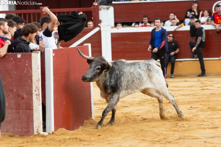 Vaquillas San Saturio 2026