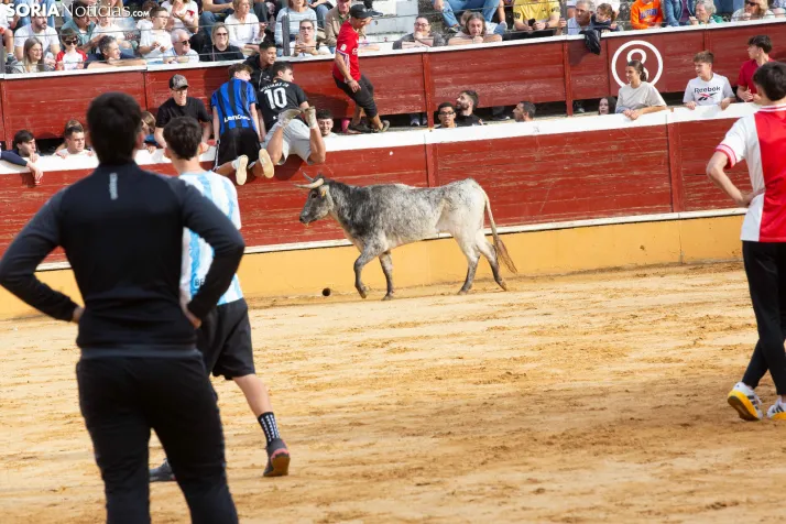 Vaquillas San Saturio 2026