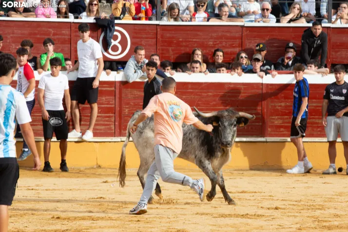 Vaquillas San Saturio 2026