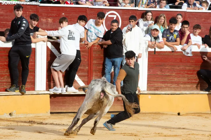 Vaquillas San Saturio 2026