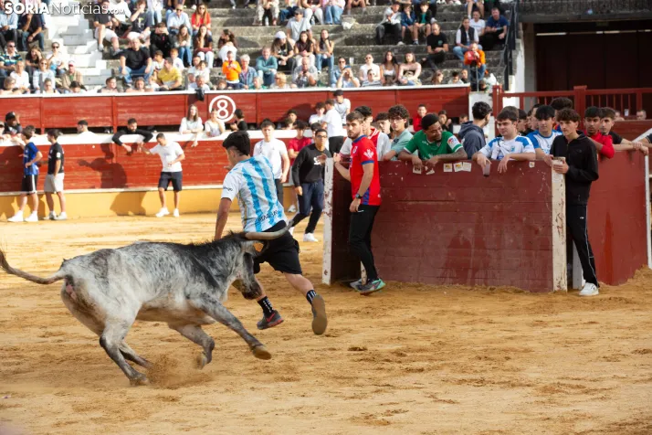 Vaquillas San Saturio 2026