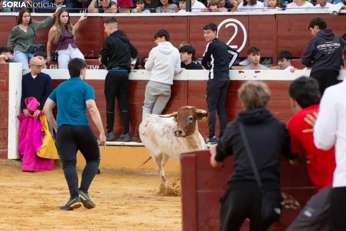 Vaquillas San Saturio 2026