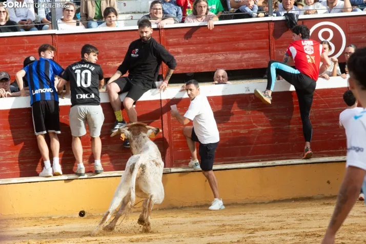Vaquillas San Saturio 2026