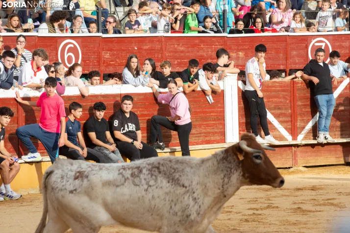 Vaquillas San Saturio 2026