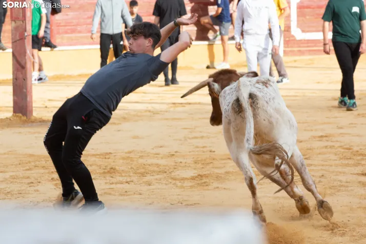 Vaquillas San Saturio 2026