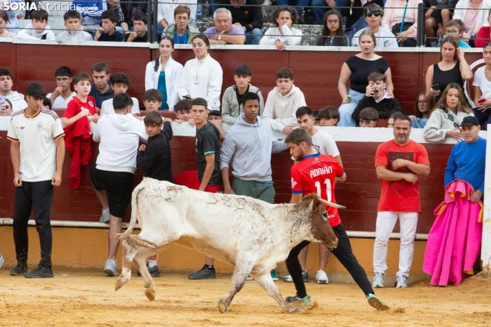 Vaquillas San Saturio 2026