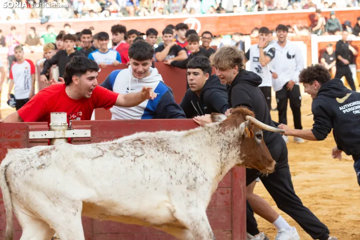 Vaquillas San Saturio 2026