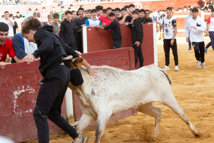 Vaquillas San Saturio 2026