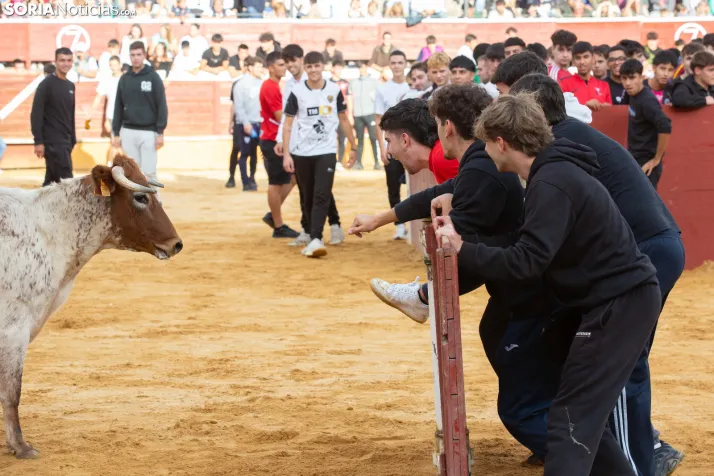 Vaquillas San Saturio 2026