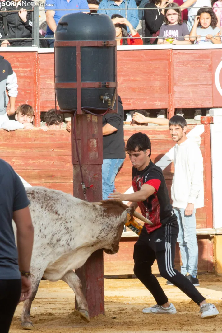 Vaquillas San Saturio 2026