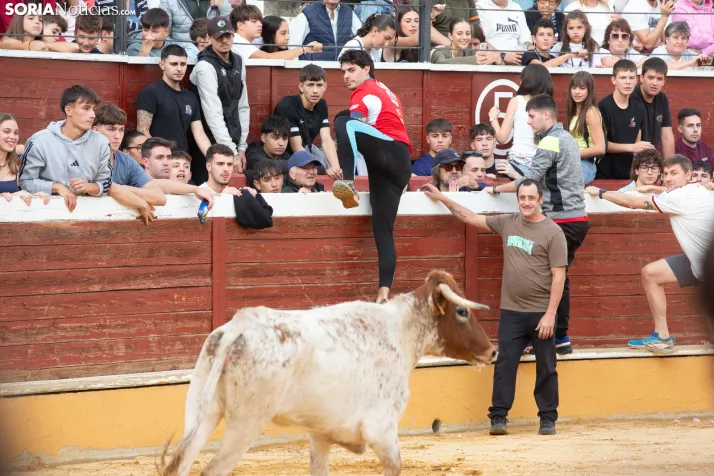 Vaquillas San Saturio 2026