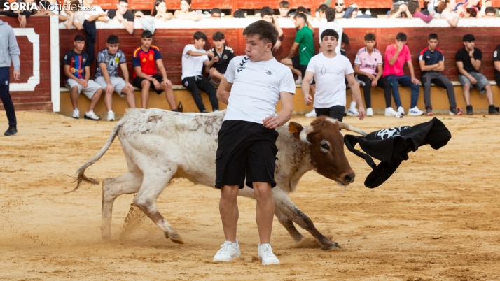 GALERÍA | Las vaquillas animan el tramo final de San Saturio 2026