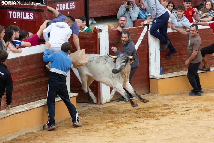 Vaquillas San Saturio 2026